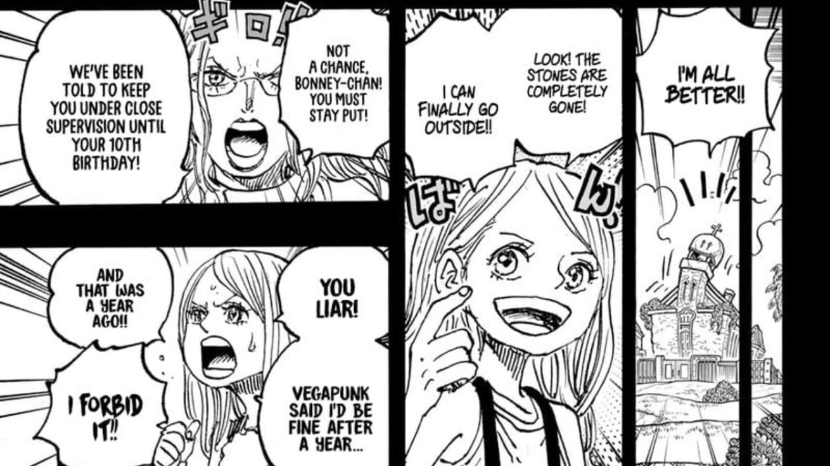Read One Piece Chapter 1102 Online: Raws & Release Date