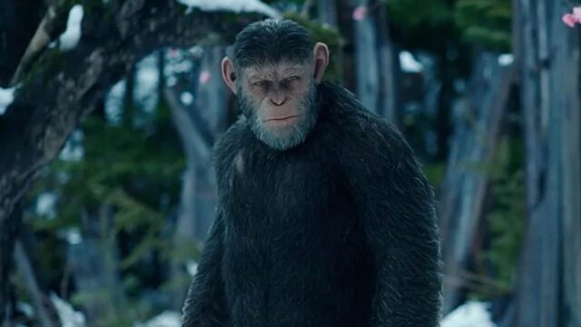 El papel de Serkis en la realización de la próxima película del planeta de los simios
