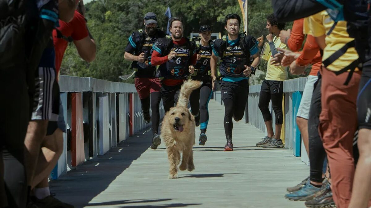 What happened to the dog in Arthur the King in real life?