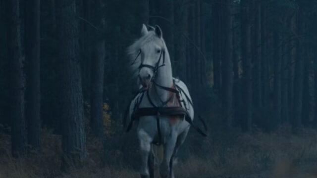 O que significa o cavalo branco no final do Masters of the Air?