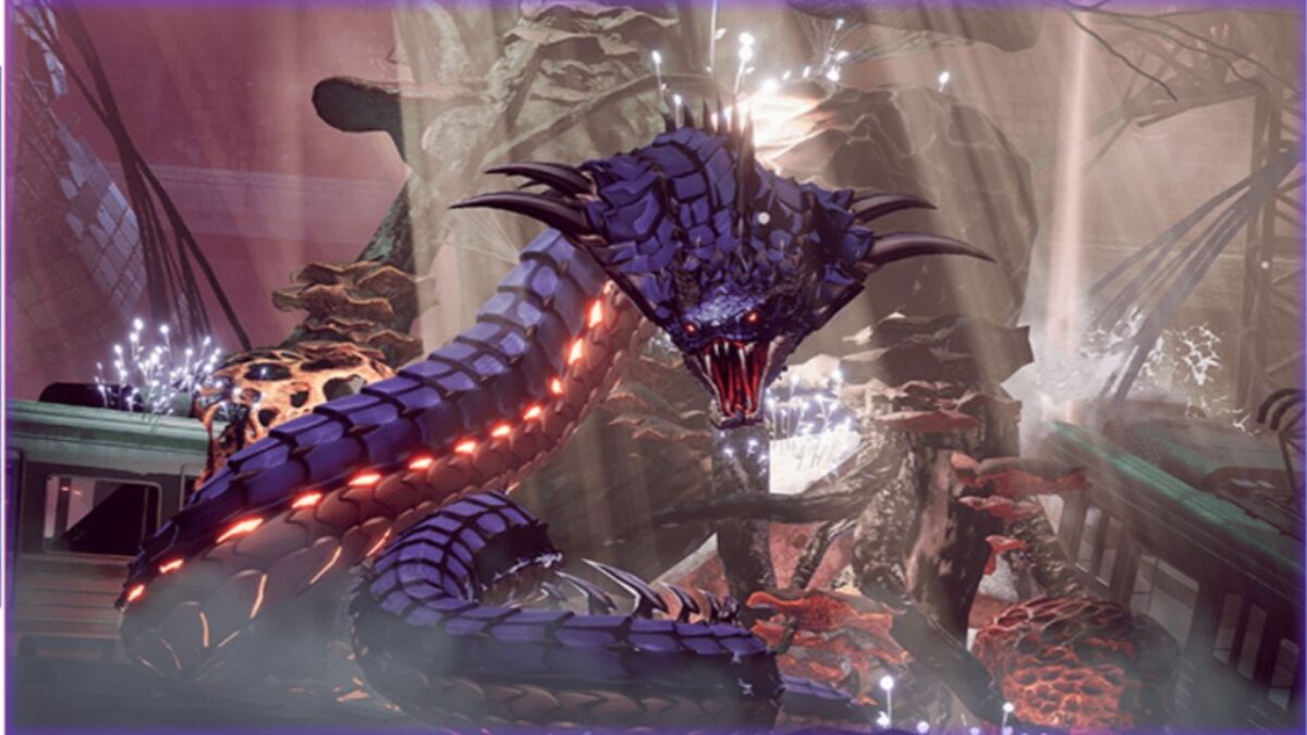 Everything You Need To Know About Solo Leveling ARISE game