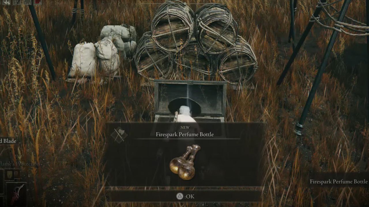 How to find all Perfume Bottles in Elden Ring DLC? Easy Guide