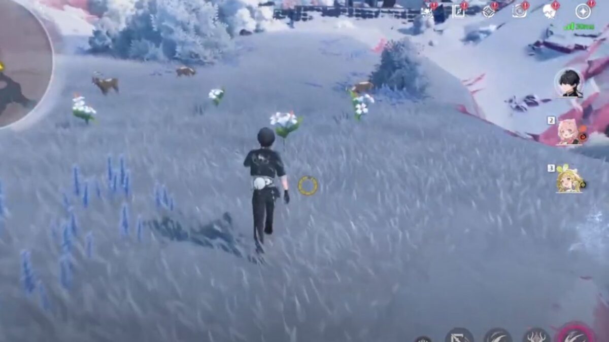 7 Hidden Supply Chest Locations in Wuthering Waves 1.1