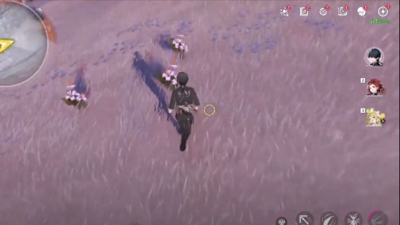 7 Hidden Supply Chest Locations in Wuthering Waves 1.1