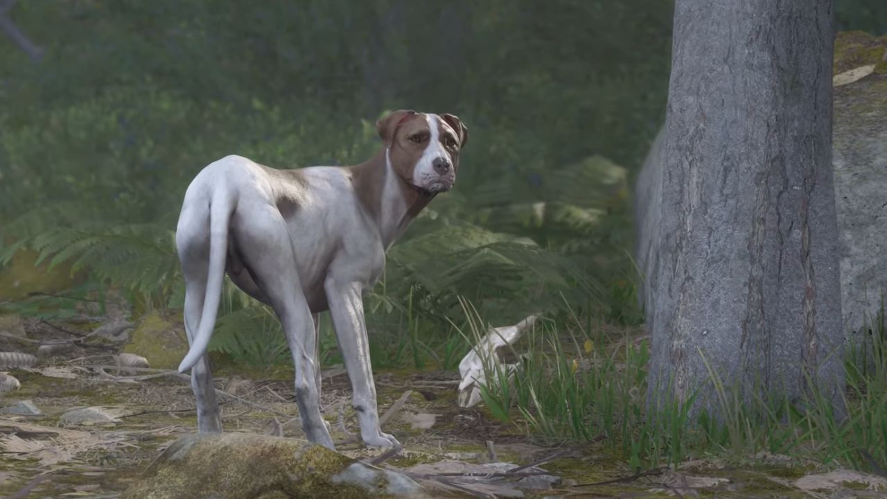 Complete Guide on Getting Your Companion Mutt in Kingdom Come Deliverance 2 cover