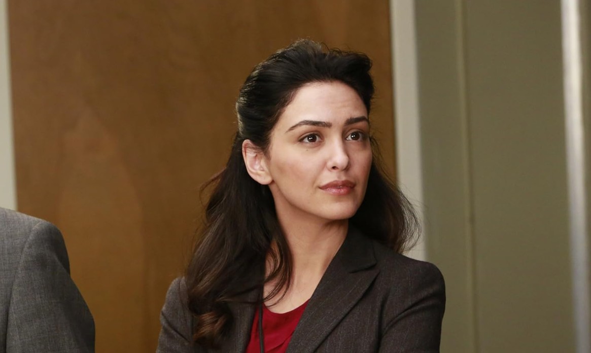Filme Und Serien Von Nazanin Boniadi