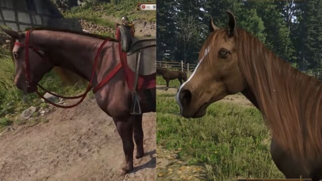Top Five Horses That You Must Ride in Kingdom Come: Deliverance 2- Ranked