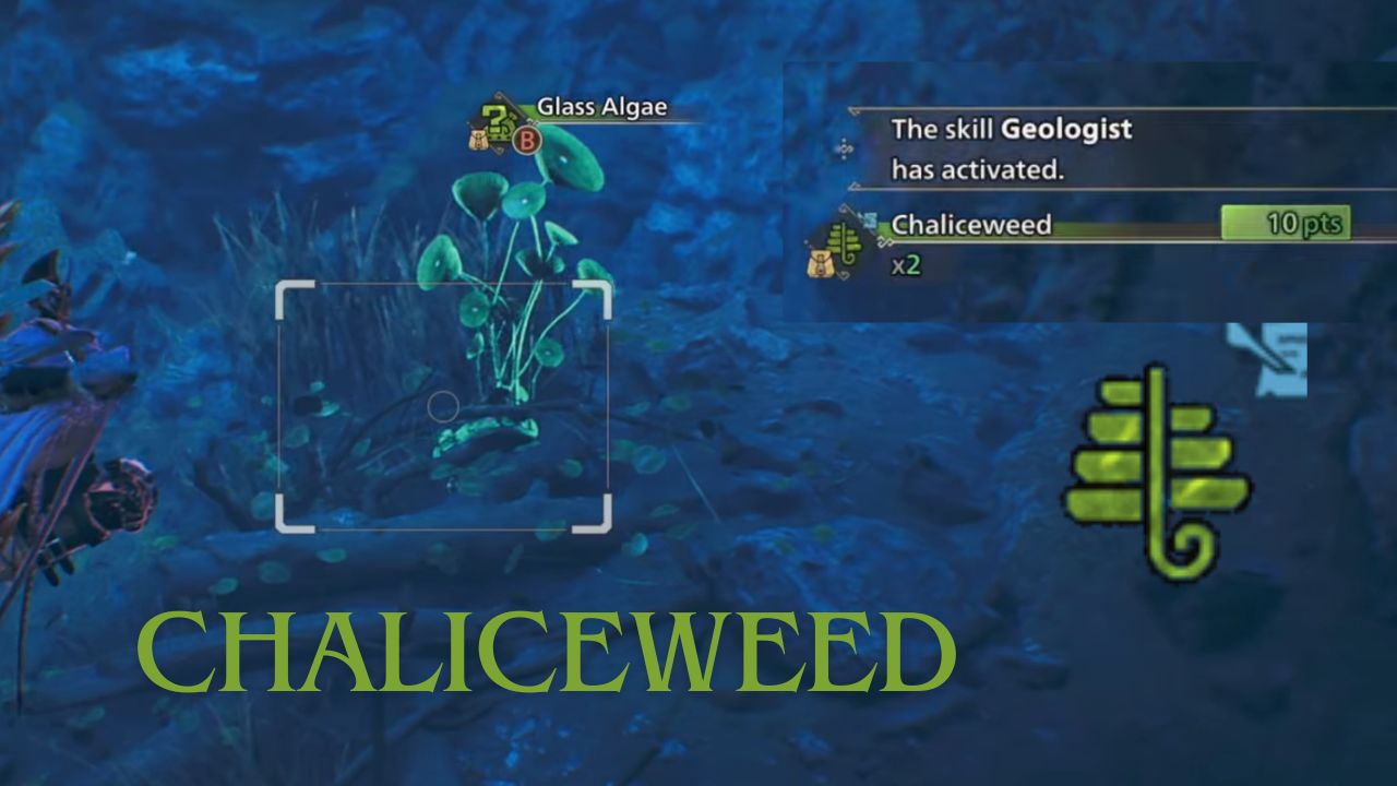 Simple Guide on Getting Chaliceweed in Monster Hunters Wilds- How to use it? cover