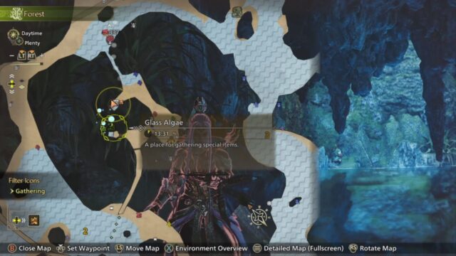 Grass Algae  (Scarlet Forest map)