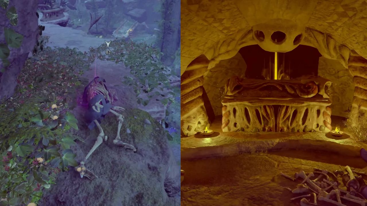 Comprehensive Guide on Getting the Scarphagous Key in Avowed- How to use it? cover