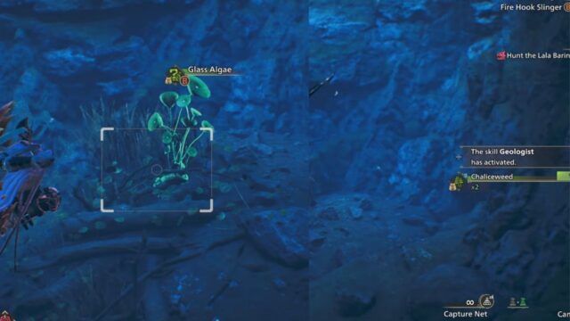 Obtain Chaliceweed by interacting with Grass Algae