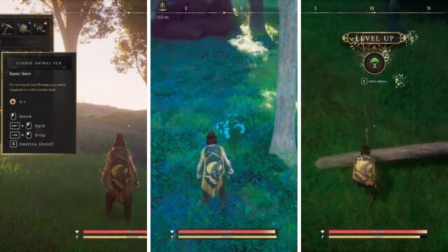 Gathering Materials in RuneScape Dragonwilds