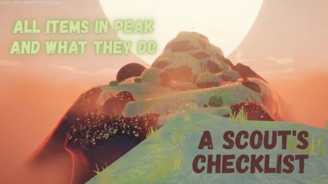 A Scout’s Checklist – All Items in PEAK and What They Do