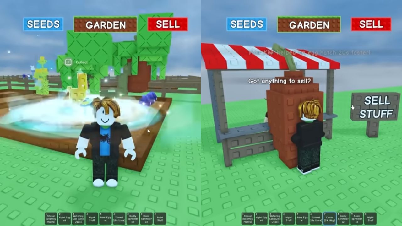 How To Get Cacao Seeds In Grow A Garden Roblox Cacao Tree And Fruit In Grow A Garden Roblox 