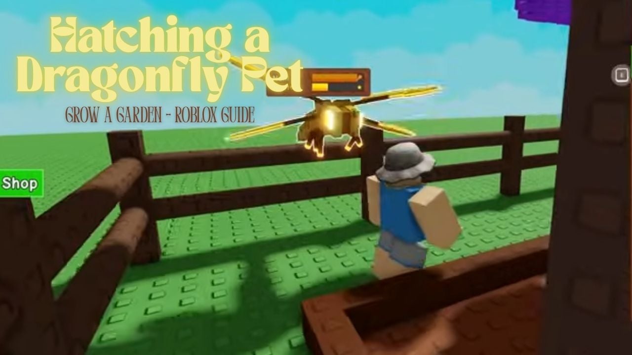 Hatching a Dragonfly Pet in Grow a Garden – Roblox Guide cover