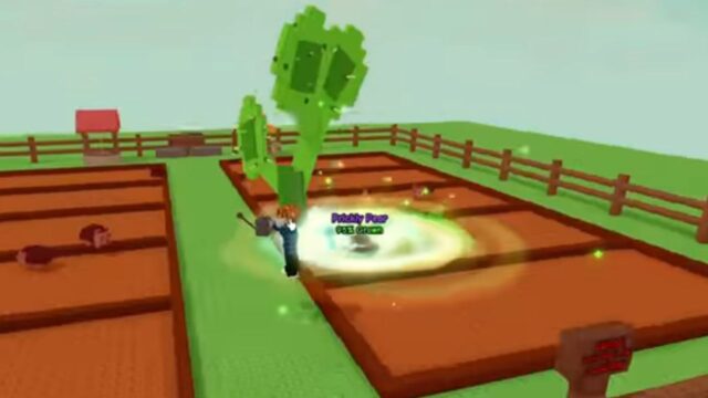 How to Maximize the Chances of Obtaining the Prickly Pear Seed